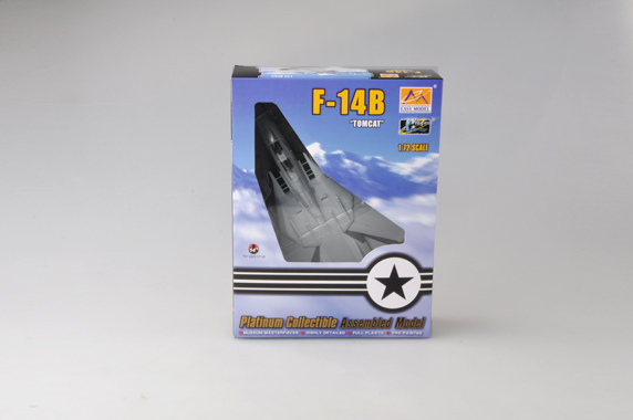 Самолёт F-14B VF-143 2001 г